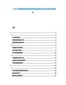 2025中國智慧城市建設項目落地情況及社會效益評估報告