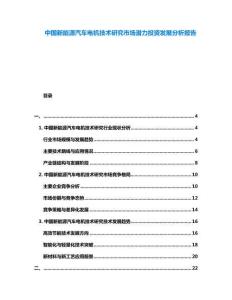 中國新能源汽車電機技術研究市場潛力投資發展分析報告