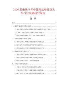 2026及未來5年中國電動單孔鉆孔機行業發展研究報告