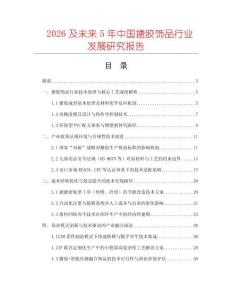2026及未来5年中国搪胶饰品行业发展研究报告