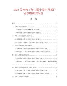 2026及未來5年中國中間小壓板行業發展研究報告
