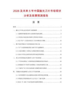 2026及未來5年中國拋光刀片市場現狀分析及前景預測報告