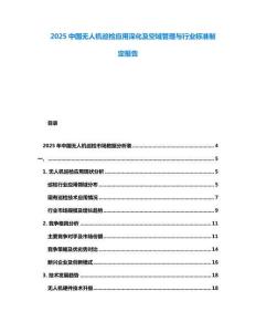 2025中國無人機巡檢應用深化及空域管理與行業標準制定報告