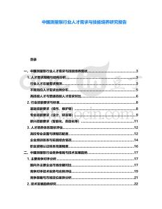 中國測量泵行業(yè)人才需求與技能培養(yǎng)研究報告