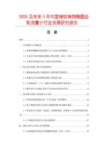 2026及未來5年中國鑄鐵鑄鋼橢圓齒輪流量計行業(yè)發(fā)展研究報告