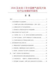 2026及未來5年中國燃?xì)夤娘L(fēng)大鍋灶行業(yè)發(fā)展研究報告