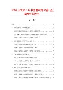 2026及未來(lái)5年中國(guó)磨花制動(dòng)盤行業(yè)發(fā)展研究報(bào)告