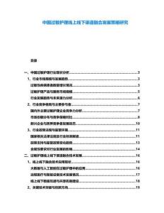 中國(guó)過(guò)敏護(hù)理線上線下渠道融合發(fā)展策略研究