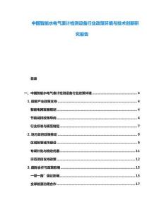 中國智能水電氣表計檢測設備行業政策環境與技術創新研究報告