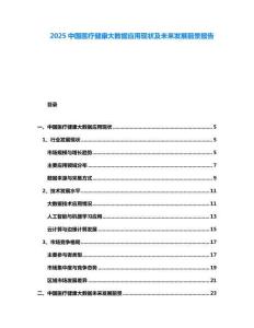 2025中國(guó)醫(yī)療健康大數(shù)據(jù)應(yīng)用現(xiàn)狀及未來(lái)發(fā)展前景報(bào)告