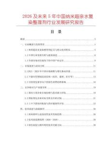 2026及未來5年中國納米超親水復染整理劑行業發展研究報告