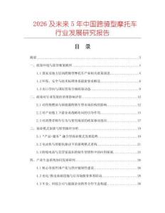 2026及未來5年中國跨騎型摩托車行業發展研究報告