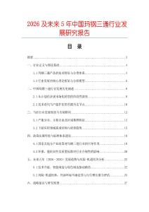 2026及未來5年中國瑪鋼三通行業發展研究報告