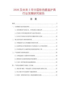 2026及未來5年中國(guó)彩色膝蓋護(hù)具行業(yè)發(fā)展研究報(bào)告