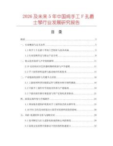 2026及未來5年中國純手工F孔爵士琴行業(yè)發(fā)展研究報告