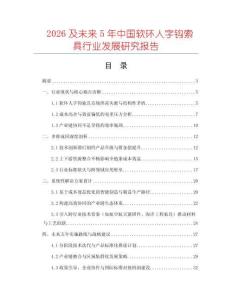 2026及未來5年中國軟環人字鉤索具行業發展研究報告