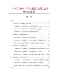 2026及未來5年中國掛鉤袋行業(yè)發(fā)展研究報告
