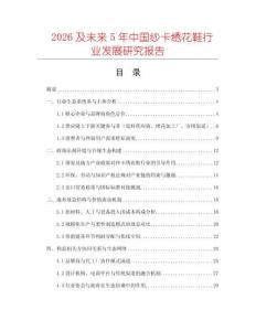 2026及未來5年中國紗卡繡花鞋行業(yè)發(fā)展研究報告