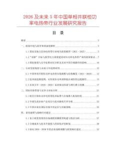 2026及未來5年中國單相并聯(lián)恒功率電熱帶行業(yè)發(fā)展研究報告