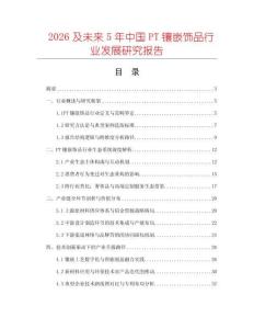 2026及未來5年中國PT鑲嵌飾品行業發展研究報告
