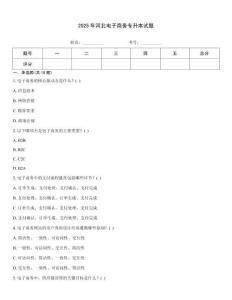 2025年河北電子商務專升本試題