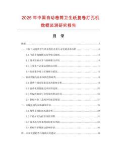 2025年中國自動卷筒衛生紙復卷打孔機數據監測研究報告
