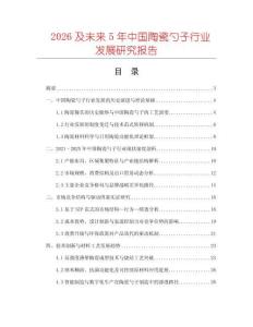 2026及未來5年中國陶瓷勺子行業(yè)發(fā)展研究報(bào)告