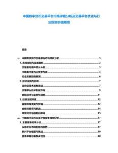 中國(guó)數(shù)字貨幣交易平臺(tái)市場(chǎng)詳細(xì)分析及交易平臺(tái)優(yōu)化與行業(yè)投資價(jià)值預(yù)測(cè)