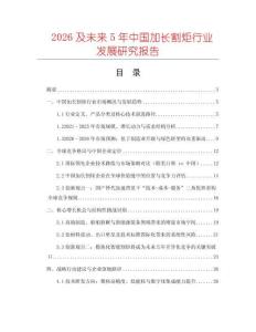 2026及未來5年中國加長割炬行業發展研究報告