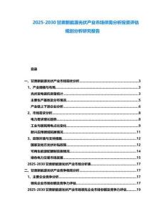 2025-2030甘肅新能源光伏產(chǎn)業(yè)市場(chǎng)供需分析投資評(píng)估規(guī)劃分析研究報(bào)告