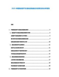 2025中國(guó)氫能源汽車基礎(chǔ)設(shè)施建設(shè)與政策支持分析報(bào)告