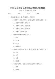 2026年物理電學原理與應用考試及答案