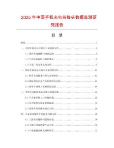 2025年中國手機(jī)充電轉(zhuǎn)接頭數(shù)據(jù)監(jiān)測(cè)研究報(bào)告