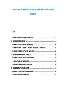 2025-2030中國海洋能源開發利用技術研究與市場推廣分析報告