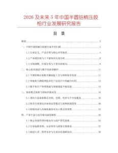 2026及未來5年中國半圓鋁柄壓膠槍行業(yè)發(fā)展研究報告
