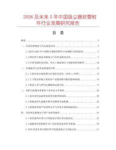 2026及未來5年中國吸塵器軟管附件行業發展研究報告