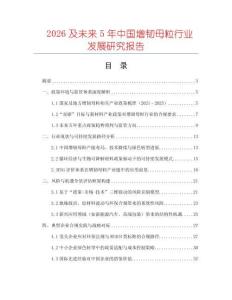 2026及未來5年中國增韌母粒行業發展研究報告