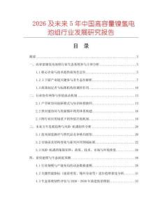 2026及未来5年中国高容量镍氢电池组行业发展研究报告