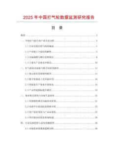 2025年中國打氣輪數據監測研究報告