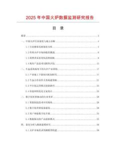 2025年中國火爐數據監測研究報告