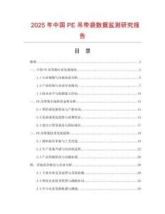2025年中國PE吊帶袋數據監測研究報告