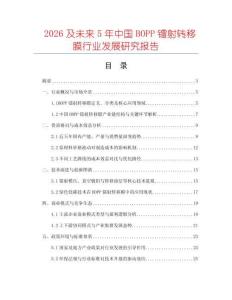 2026及未來5年中國BOPP鐳射轉移膜行業(yè)發(fā)展研究報告