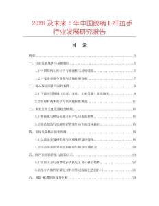 2026及未來(lái)5年中國(guó)膠柄Ｌ桿拉手行業(yè)發(fā)展研究報(bào)告