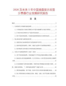 2026及未來5年中國液晶顯示雙面計費器行業發展研究報告