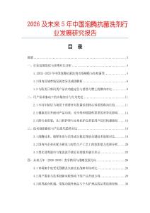 2026及未來(lái)5年中國(guó)泡騰抗菌洗劑行業(yè)發(fā)展研究報(bào)告