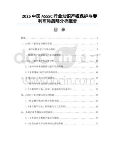 2026中國ASSSC行業(yè)知識產(chǎn)權(quán)保護(hù)與專利布局戰(zhàn)略分析報(bào)告