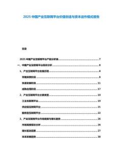 2025中國產(chǎn)業(yè)互聯(lián)網(wǎng)平臺價值創(chuàng)造與資本運作模式報告