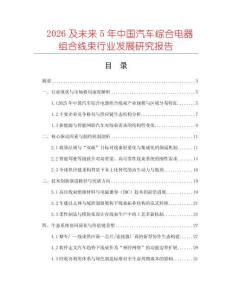 2026及未來5年中國汽車綜合電器組合線束行業發展研究報告