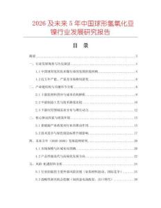 2026及未來5年中國球形氫氧化亞鎳行業(yè)發(fā)展研究報告