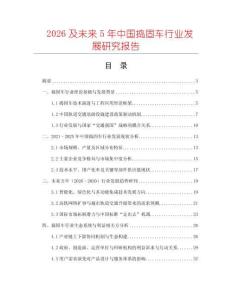2026及未來5年中國搗固車行業(yè)發(fā)展研究報告
